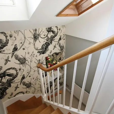 Spacious & Charming Maisonette In Clifton Village 公寓 *